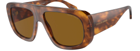 Giorgio Armani AR 8183 Sunglasses