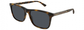 Gucci GG 0381S Sunglasses
