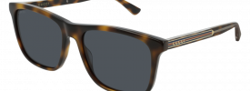 Gucci GG 0381SN Sunglasses