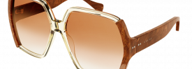 Gucci GG 1065S Discontinued 4803 Sunglasses