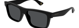Gucci GG 1618S Sunglasses