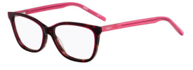 Hugo Boss Hugo HG 1053 Glasses
