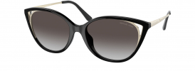 Michael Kors MK 2152U ALEXANDRIA Sunglasses