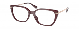 Michael Kors MK 4083U BERGEN Glasses