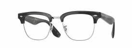 1661BF - Charcoal Tortoise/Brushed Silver