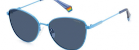 Polaroid PLD 6188S Sunglasses