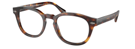 Ralph Lauren Polo PH 2272 Glasses