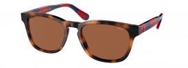 Ralph Lauren Polo PH 4170 Sunglasses