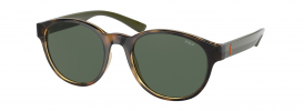 Ralph Lauren Polo PH 4176 Sunglasses
