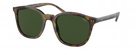 Ralph Lauren Polo PH 4188 Sunglasses