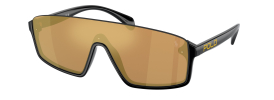 Ralph Lauren Polo PH 4211U Sunglasses