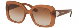 Ralph Lauren RL 8169 Sunglasses