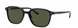 Ray-Ban RB 2193 LEONARD Sunglasses
