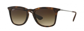 Ray-Ban RB 4221 Sunglasses
