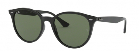 Ray-Ban RB 4305 Sunglasses