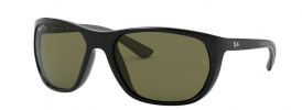Ray-Ban RB 4307 Sunglasses