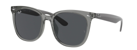 Ray-Ban RB 4379D Sunglasses