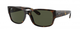 Ray-Ban RB 4388 Sunglasses