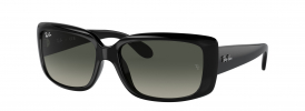 Ray-Ban RB 4389 Sunglasses