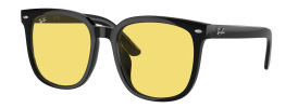Ray-Ban RB 4401D Sunglasses