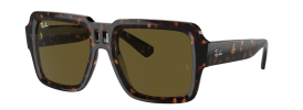 Ray-Ban RB 4408 MAGELLAN Sunglasses