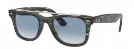 Ray-Ban RB 4540 WAYFARER Sunglasses