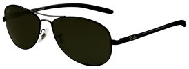 Ray-Ban RB 8301 Sunglasses