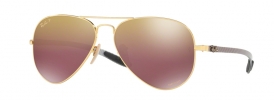 Ray-Ban RB 8317CH Sunglasses