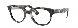 Ray-Ban RX2199V Glasses