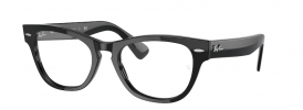 Ray-Ban RX2201V LARAMIE Prescription Glasses