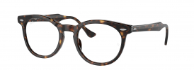 Ray-Ban RX5598 EAGLEEYE Glasses