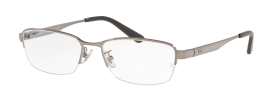 Ray-Ban RX6453D Glasses
