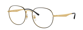 Ray-Ban RX6517D Glasses