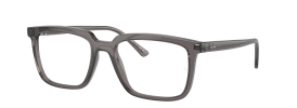Ray-Ban RX7239 ALAIN Glasses