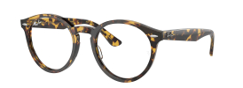 Ray-Ban RX7680V LARRY Glasses