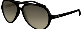 Ray-Ban RB 4125 Sunglasses