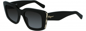 Salvatore Ferragamo SF 1024S Sunglasses