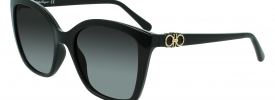 Salvatore Ferragamo SF 1026S Sunglasses