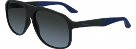 Salvatore Ferragamo SF 1029S Sunglasses