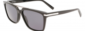 Salvatore Ferragamo SF 1037S Sunglasses