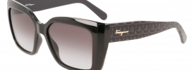 Salvatore Ferragamo SF 1042S Sunglasses