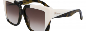 Salvatore Ferragamo SF 1060S Sunglasses