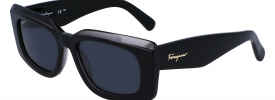 Salvatore Ferragamo SF 1079S Sunglasses