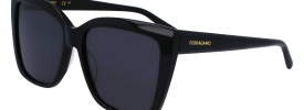 Salvatore Ferragamo SF 1102S Sunglasses