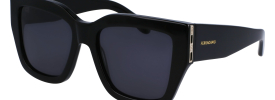 Salvatore Ferragamo SF 1104S Sunglasses