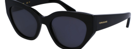 Salvatore Ferragamo SF 1107S Sunglasses