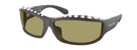 Swarovski SK 6009 Sunglasses