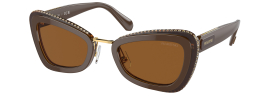 Swarovski SK 6012 Sunglasses