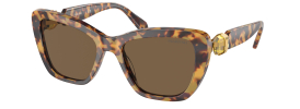 Swarovski SK 6018 Sunglasses