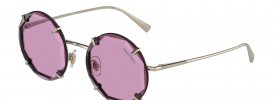 Tiffany & Co TF 3091 Sunglasses
